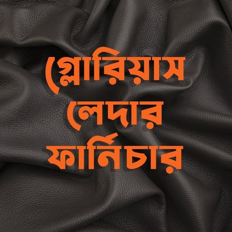 গ্লোরিয়াস লেদার ফার্নিচার - Glorious Leather Sofa
